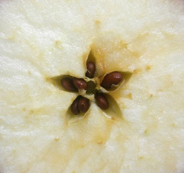 Corte Detalle Sección Transversal Manzana Roja Deliciosa Fresca — Foto de Stock