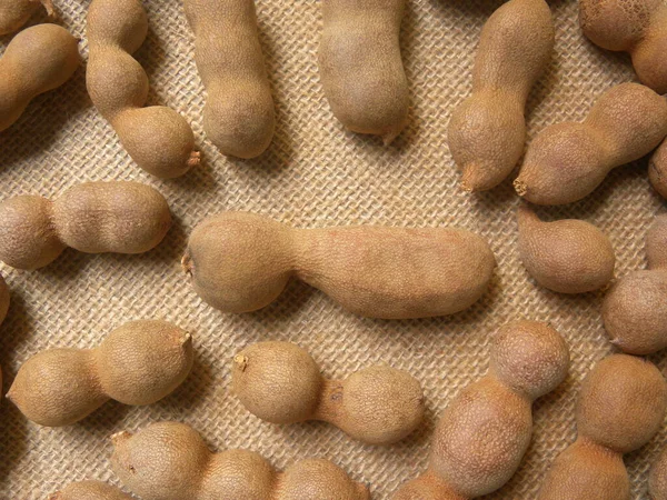 Castanho Cor Crua Inteiro Seco Tamarind Frutas Com Casca — Fotografia de Stock