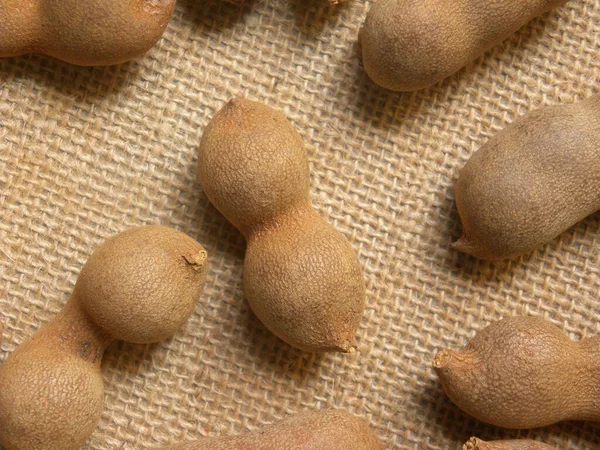 Castanho Cor Crua Inteiro Seco Tamarind Frutas Com Casca — Fotografia de Stock