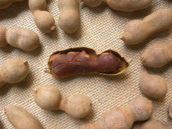 Castanho Avermelhado Cor Quebrado Cru Seco Tamarind Frutas — Fotografia de Stock