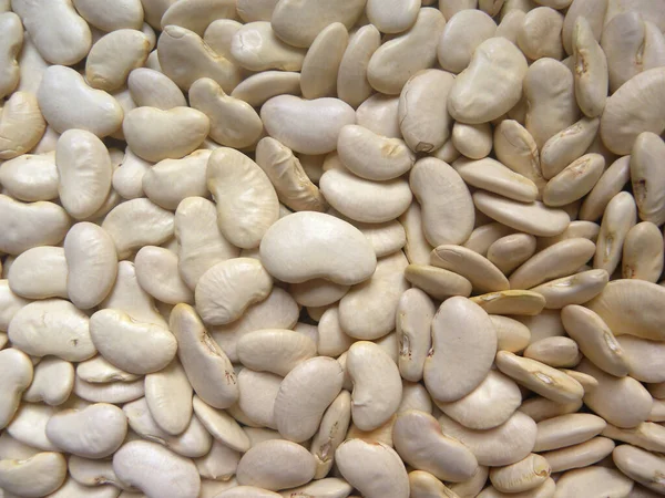 White Color Raw Whole Dried Lima Beans — Stock Photo, Image