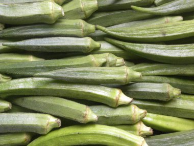 Yeşil renk, taze bamya.