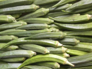 Yeşil renk, taze bamya.