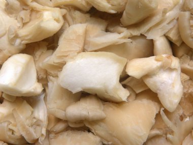 Doğranmış taze istiridye mantarı.