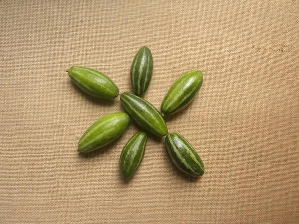 绿色生鲜而又带刺的葫芦 — 图库照片