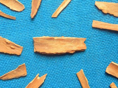 Çiğ, kurutulmuş Cassia kabuğu.