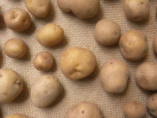 Brun Färg Hel Färsk Baby Potatis — Stockfoto