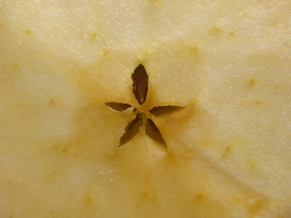 Schnittschnittdetail Des Reifen Frischen Gala Apfels — Stockfoto