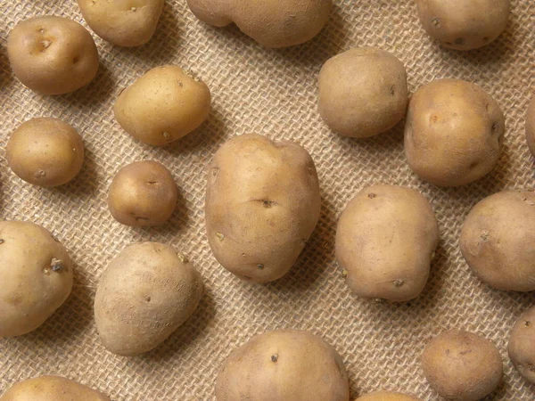 Braune Farbe Roh Ganz Frische Babykartoffeln — Stockfoto