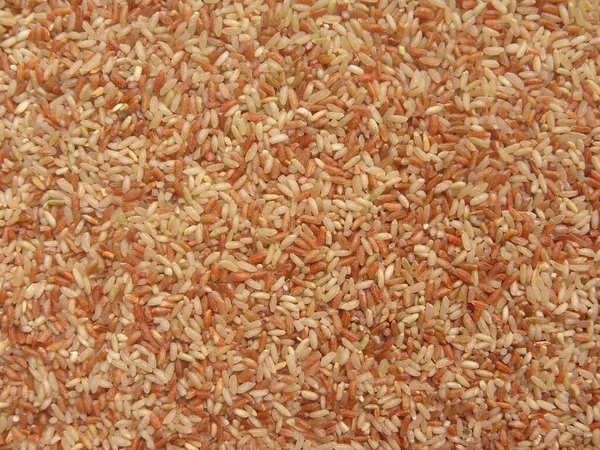 Arroz Rajamudi Entero Crudo Color Rojo Blanco —  Fotos de Stock