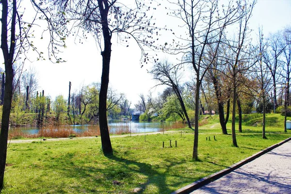         Savaş öncesi Kryvyi Rih, Ukrayna 'nın çok güzel ve hassas bir fotoğrafı.