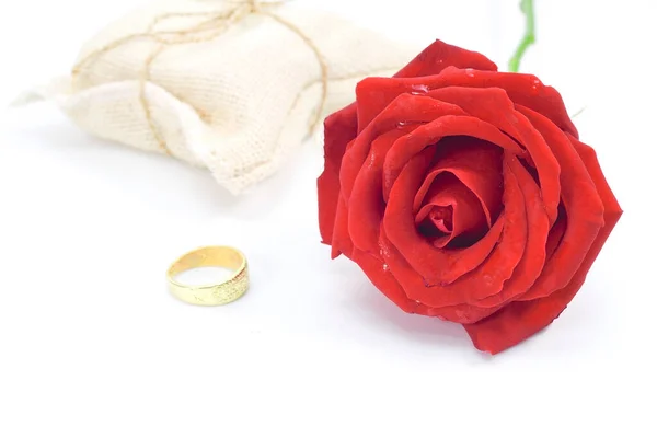 Rote Rosen Und Ein Goldring Isolierter Weißer Hintergrund Valentinstag Geschenk — Stockfoto