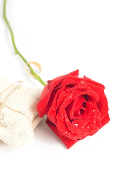 Rosas Vermelhas Fundo Branco Isolado Dia Dos Namorados Presente Amor — Fotografia de Stock