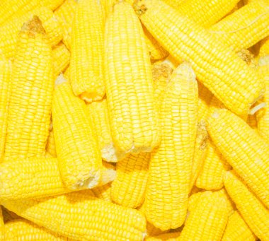 Bir ham mısır dokusu arkaplanı