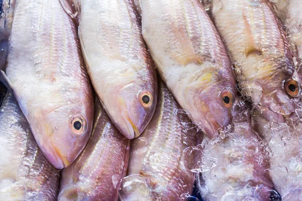 Röd Fisk Marknaden Bakgrund — Stockfoto