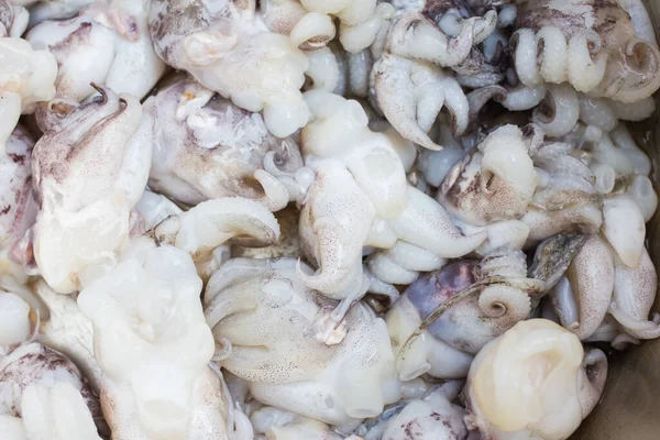 시장에서 수있는 오징어 — 스톡 사진