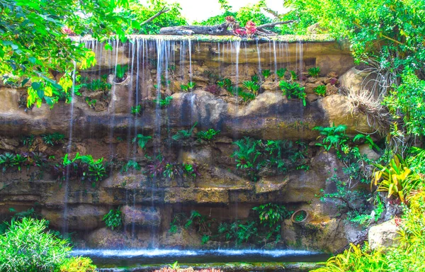 Agua Caída Naturaleza Fondo — Foto de Stock