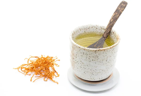 Dried Mushroom Cordyceps Militaris in the cup of tea on a white backdrop — Stock Image Dried Mushroom Cordyceps Militaris Cup Tea White Backdrop Stock Photo