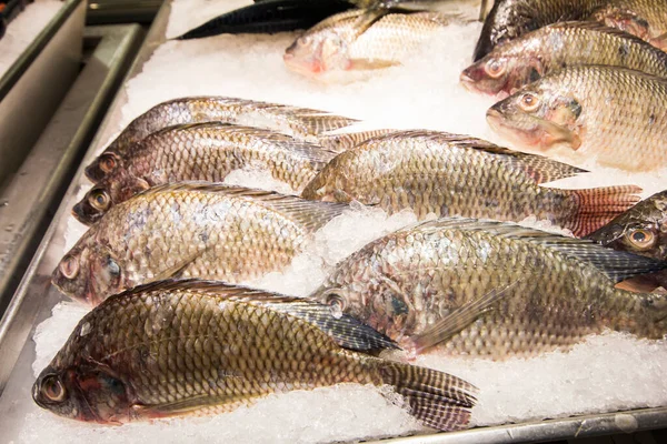 市场上冰上的罗非鱼 — 图库照片