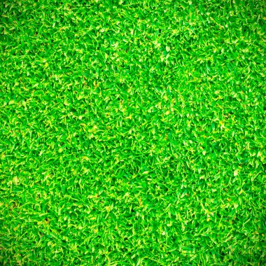 Çim yeşili doku arkaplanı.