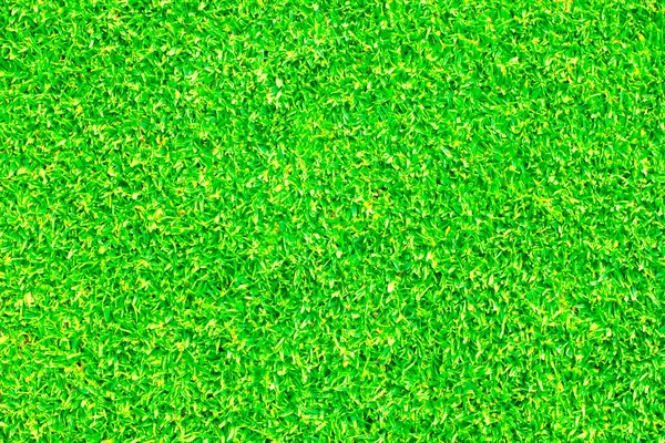 Çim yeşili doku arkaplanı.