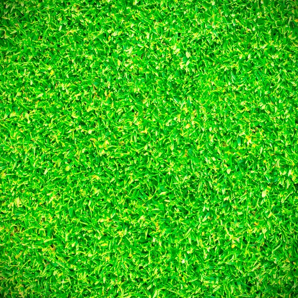 芝生の緑のテクスチャの背景 — ストック写真
