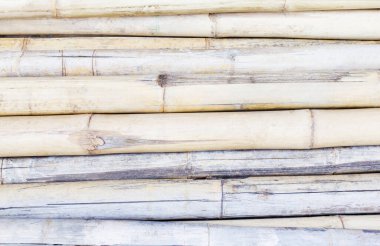 Kuru bambu dokusu arkaplanı.