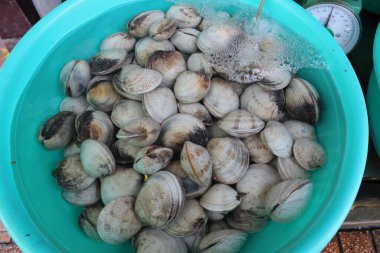 Yeşil havuzda midyeler, su, deniz ürünleri.