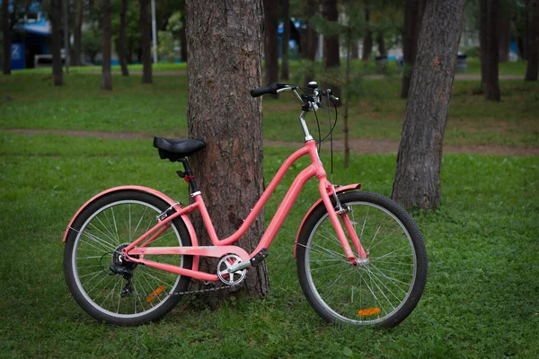 松の木の近くの公園の緑の芝生の上でピンクの街の女性用自転車 自転車 スポーツ ホイール サイクル ヴィンテージ 乗り心地 — ストック写真