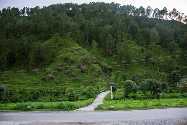 Dağlar tamamen yeşil ağaçlarla kaplı.