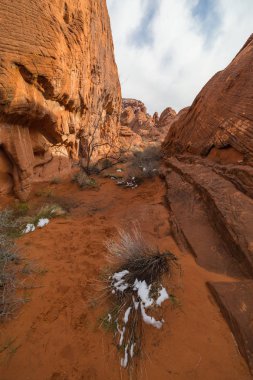 Ateş Vadisi Eyalet Parkı