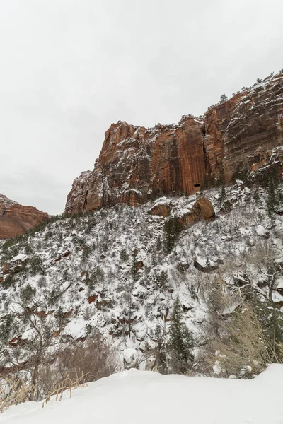 Zion National Park após tempestade de neve — Fotografia de Stock