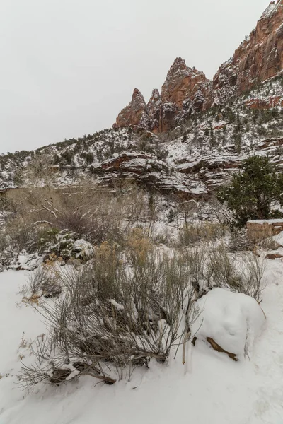 Kar fırtınası sonrası Zion Milli Parkı
