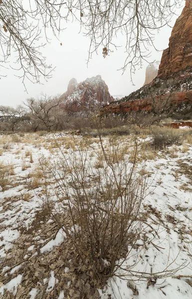 Kar fırtınası sonrası Zion Milli Parkı