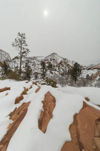 Parco nazionale di Zion dopo la tempesta di neve — Foto Stock