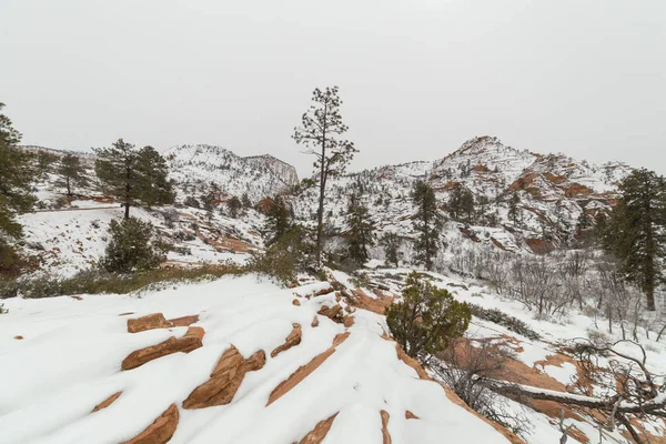 Parque Nacional Zion después de tormenta de nieve — Foto de Stock