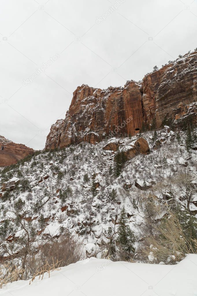 Zion National Park after snow storm