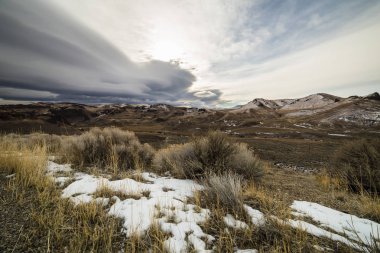 Idaho 'da karlı kırsal manzaralı bulutlu bir sabah.