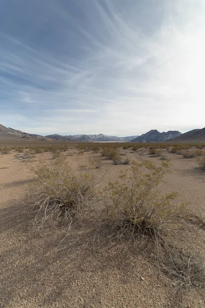 Sivatagi Táj Egy Felhős Délutánon — Stock Fotó