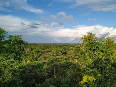 Amazon Orman Ağacı 'nın ortasında Brezilya ağaçlarının üzerinde sırt üstü gökyüzü olan iki tane üst katlı ağaçlar var. Bu ağaç AMAZON Ormanı 'nın ortasında yer almaktadır. Hamaklar 30 metre yükseklikte ağaç tepesinde asılı durmaktadır..