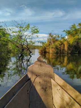 Amazon Nehri ve bulut refleksi