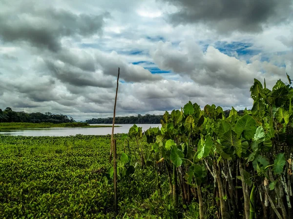 Rio Amazonas Reflexos Nuvens — Fotografia de Stock