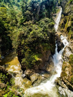 Pailon del Diablo Şelalesi - Banos Ekvador Bu fotoğraf Pailon del Diablo 'daki suların gücünü gösteriyor - Banos, Ekvador. Çevredeki bitkileri de parlak renkleriyle gösteriyor..