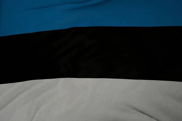 Εσθονία Κρατική Σημαία Χώρας — Φωτογραφία Αρχείου