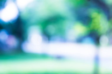 yeşil zemin doğa, daire hafif duvar kağıdı, beyaz bokeh arka plan bulanık