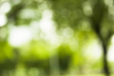 yeşil zemin doğa, daire hafif duvar kağıdı, beyaz bokeh arka plan bulanık