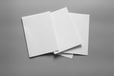 Boş portre mock-up kağıt. gri, değiştirilebilir arka plan izole broşür dergi / beyaz kağıt izole gri üzerine