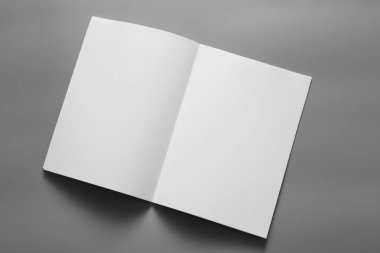 Boş dikey A4. gri, değiştirilebilir arka plan izole broşür dergi / beyaz kağıt izole gri üzerine