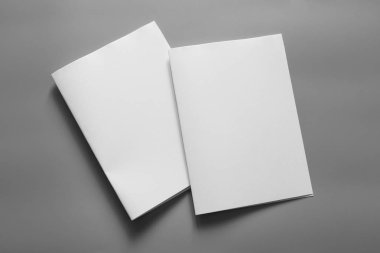Boş dikey A4. gri, değiştirilebilir arka plan izole broşür dergi / beyaz kağıt izole gri üzerine