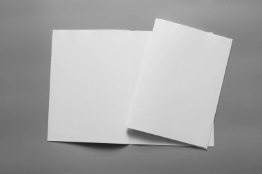 Boş dikey A4. gri, değiştirilebilir arka plan izole broşür dergi / beyaz kağıt izole gri üzerine